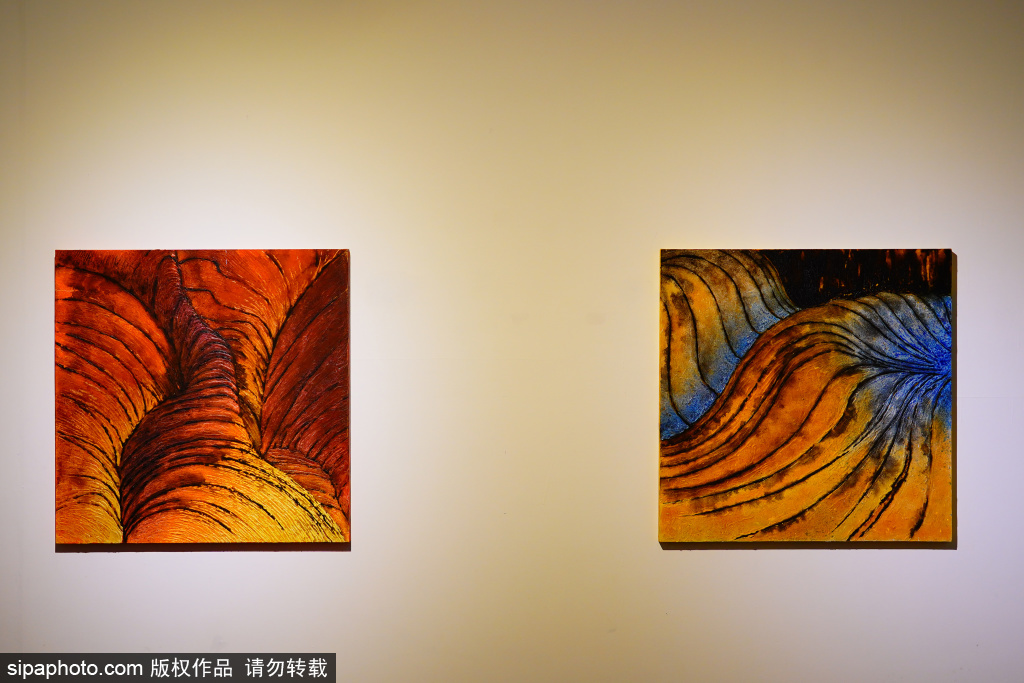 “有植物（无人）的风景”艺术展