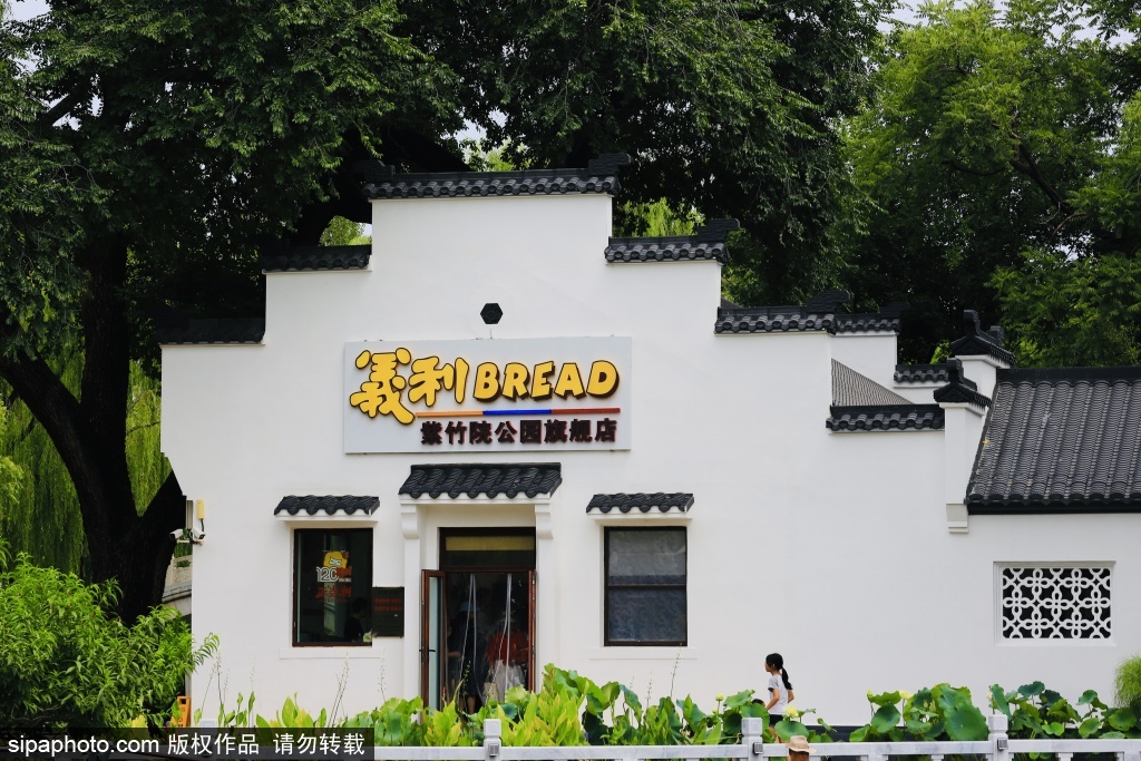紫竹院荷风竹影中邂逅老字号义利旗舰店
