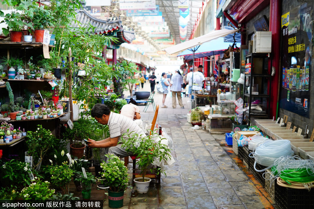 十里河天娇文化城，感受老北京烟火气息