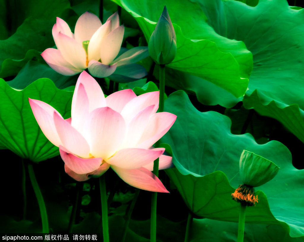 全国第一家私人博物馆——观复博物馆