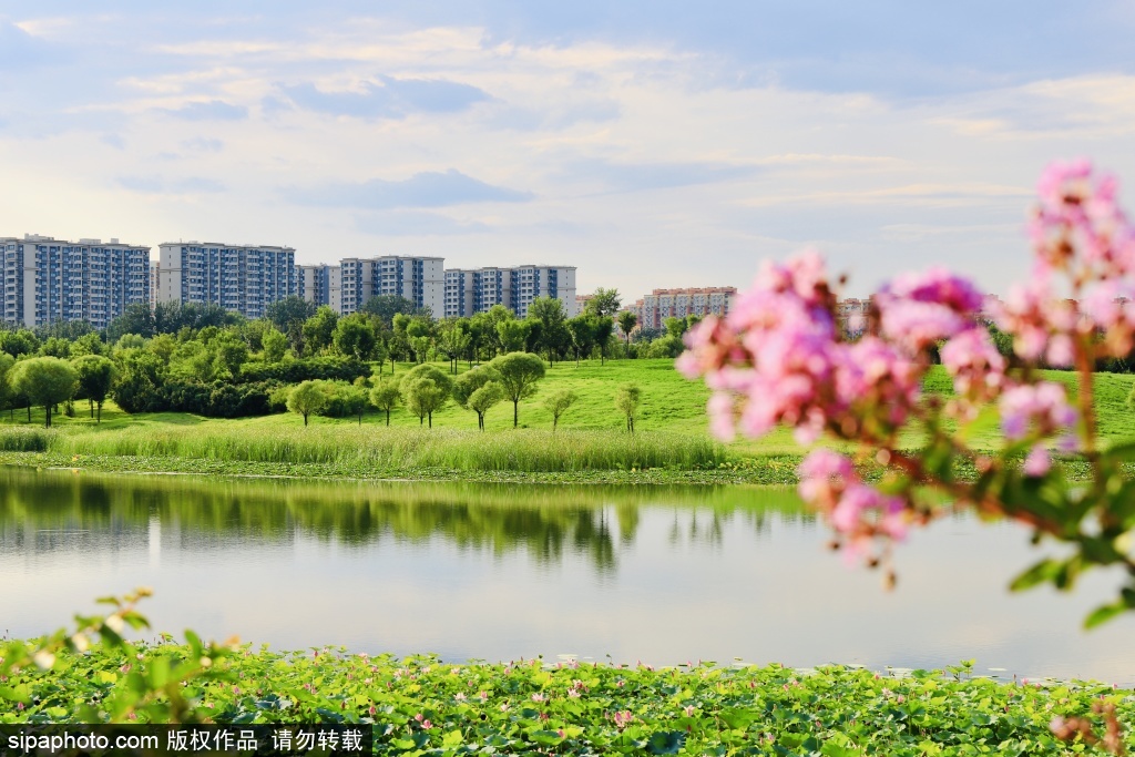 初秋南苑森林湿地公园邂逅自然盛景
