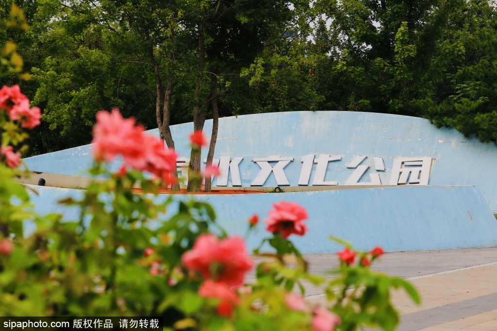 丽泽滨水文化公园尽显城水相融生态美景