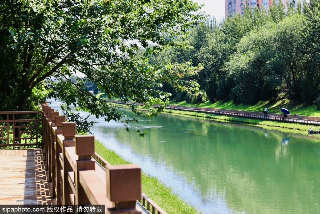 夏日凉水河的城市慢光景