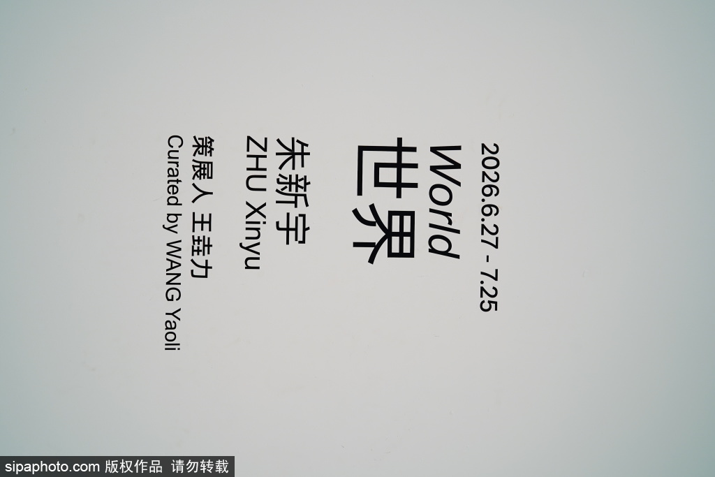 朱新宇个展《世界》