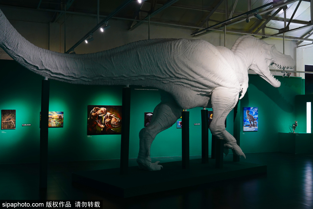 “212行动志：赵闯和杨杨科学艺术展” 1:1 霸王龙雕塑引关注