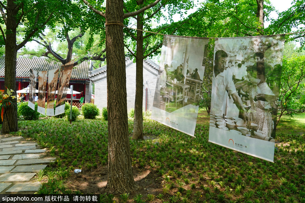 中轴记忆「永定门·茶」老照片展