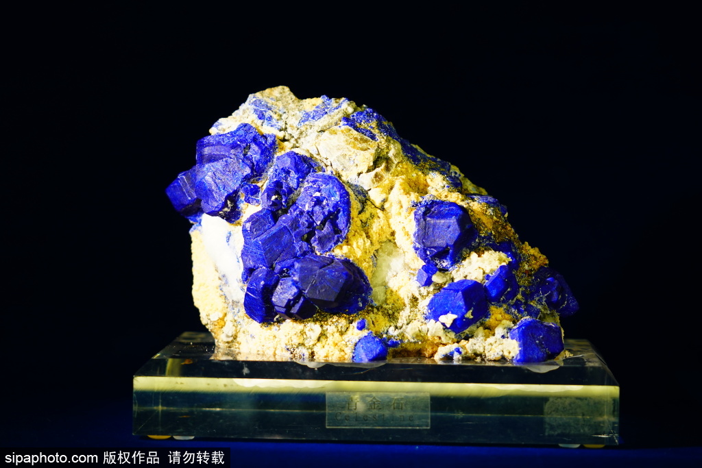 “熔金择粹”深圳水贝黄金珠宝艺术展