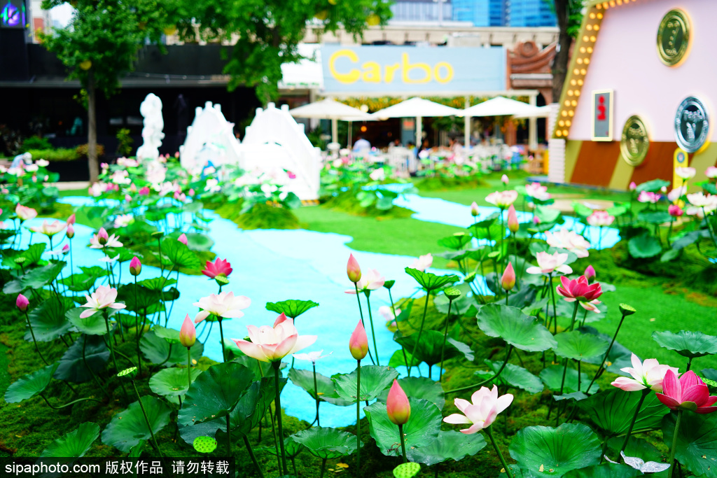 友谊商店营造出充满诗意的夏日秘境
