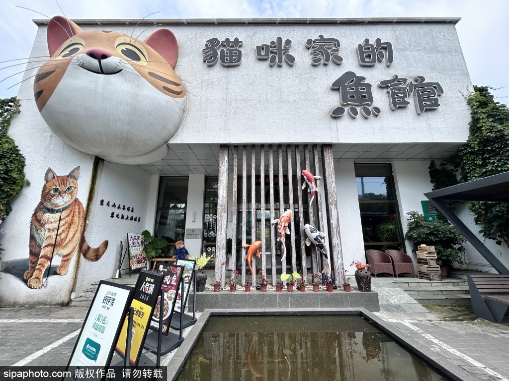 云水花溪撸猫民宿