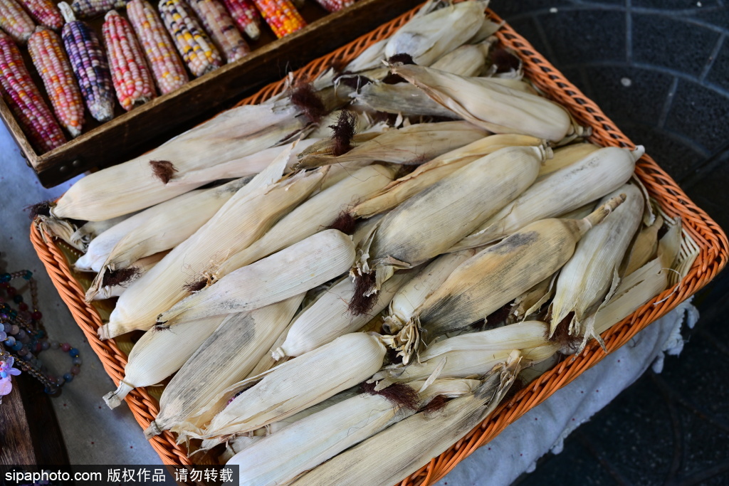 打卡潘家园旧货市场，高颜值玉米文玩出圈