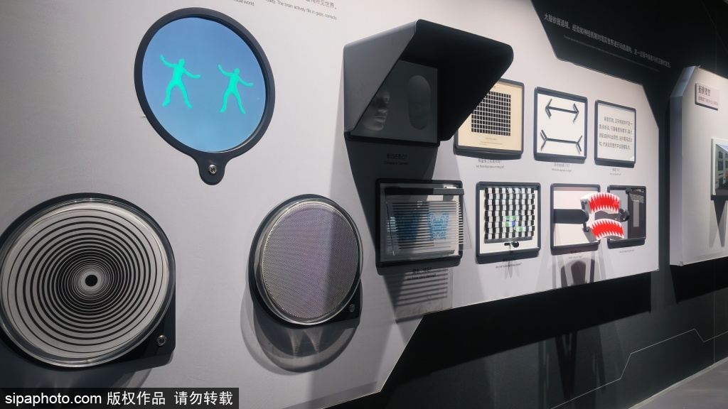 全国科普月，中国科技馆推出脑科学主题年度大展“沟壑的交响”