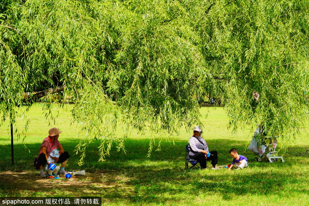 秋天第一场草坪约会——海淀公园大草坪