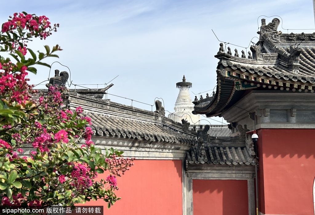 白塔寺