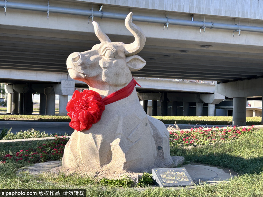 永定河森林公园