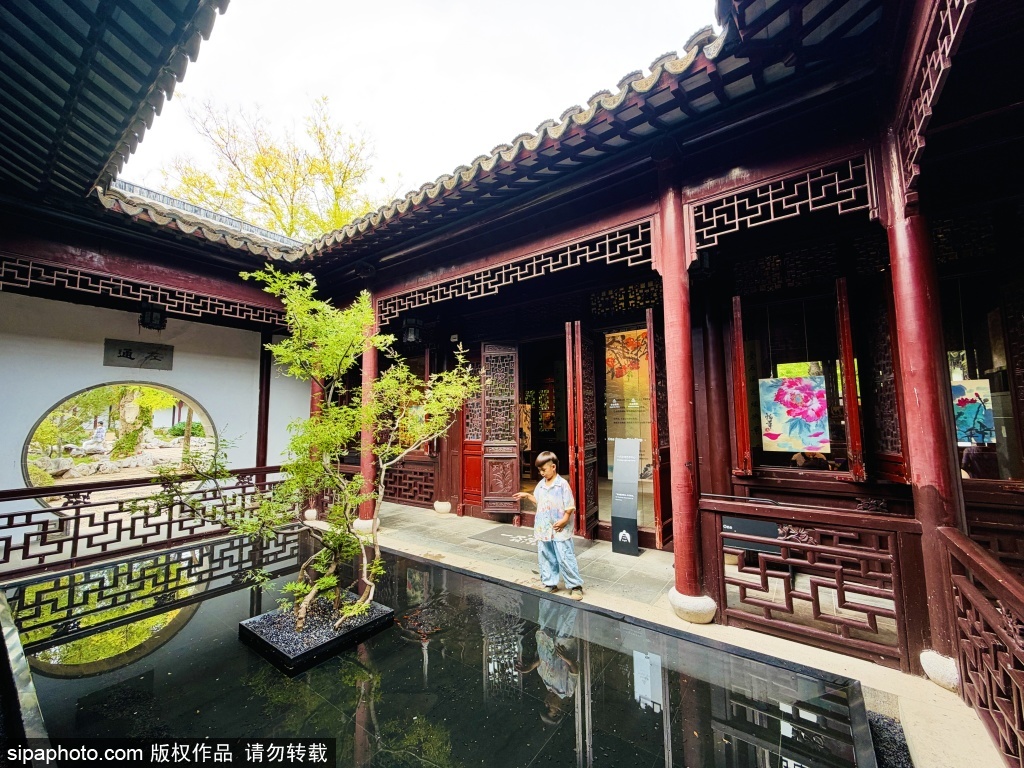 水墨入江南——肖依国画个展