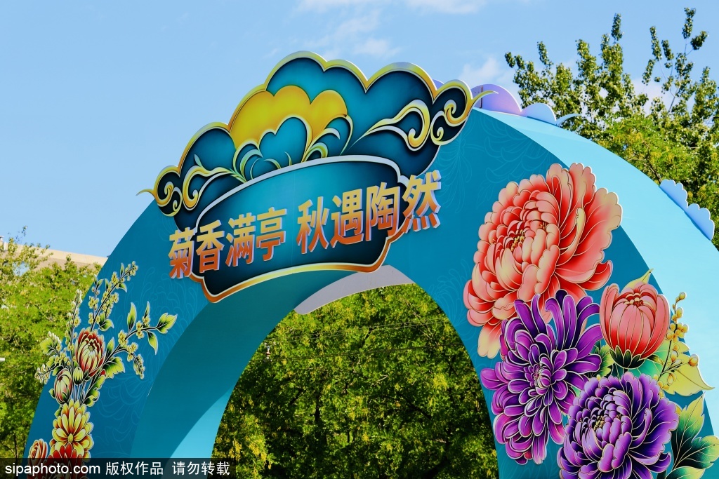 千姿秋菊聚陶然！菊花文化节精品菊展