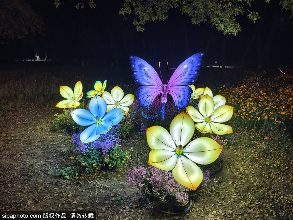 奥森北园花田野趣“可可嫑嫑”花灯展