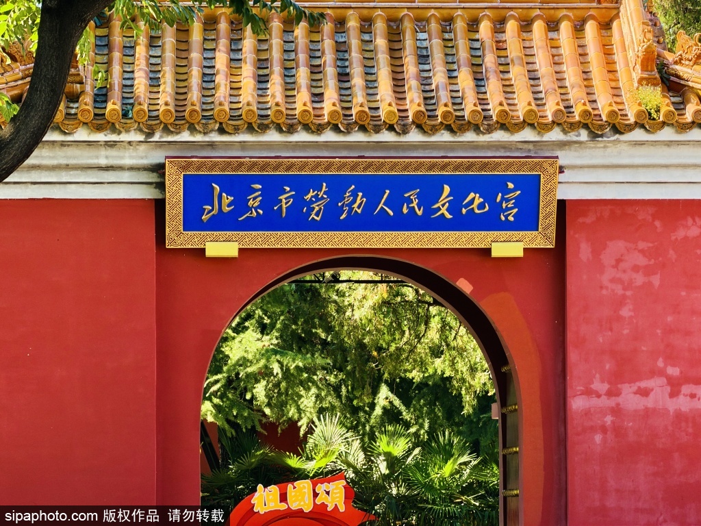 金秋赏古苑太庙品秋韵 北京劳动人民文化宫秋景如画