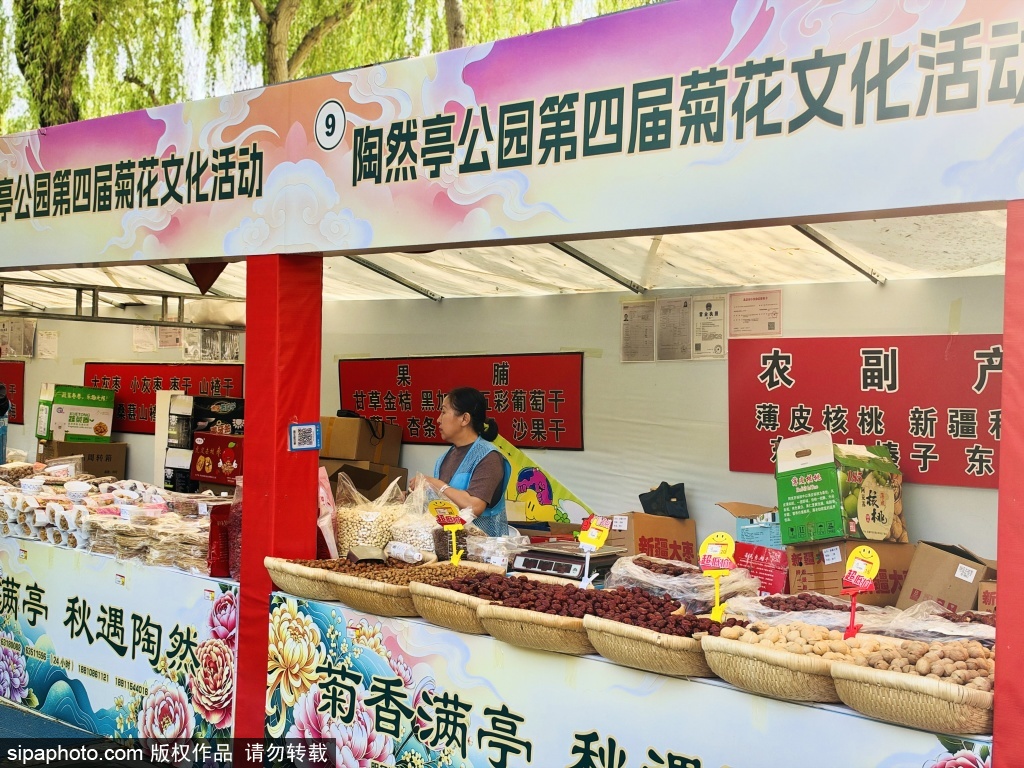 陶然亭菊花文化活动市集赏菊购物两相宜