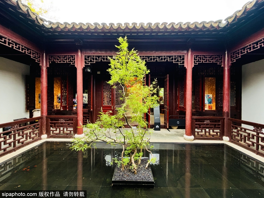 藏于园博园的江南雅境一尺花园都市休闲打卡地