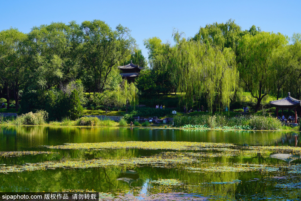 北坞公园金山寺探秋