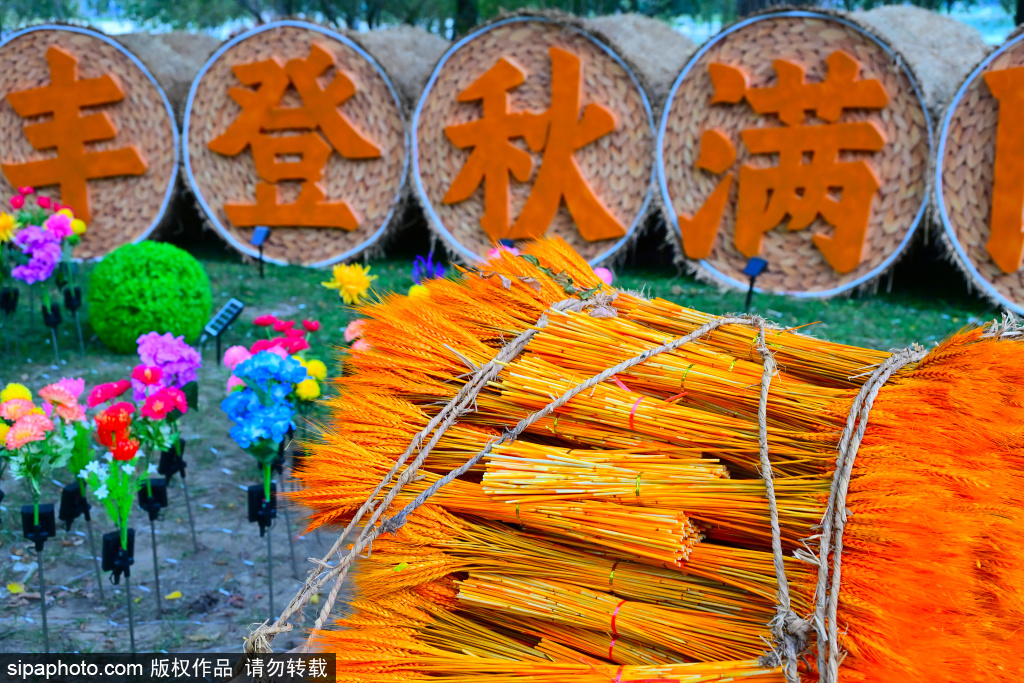 陶然亭公园菊花文化活动，打造田园丰收景观