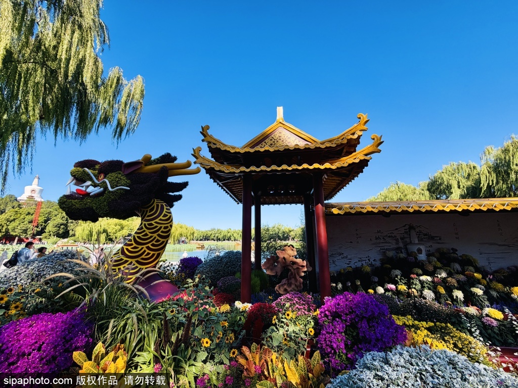 北海公园秋景上新