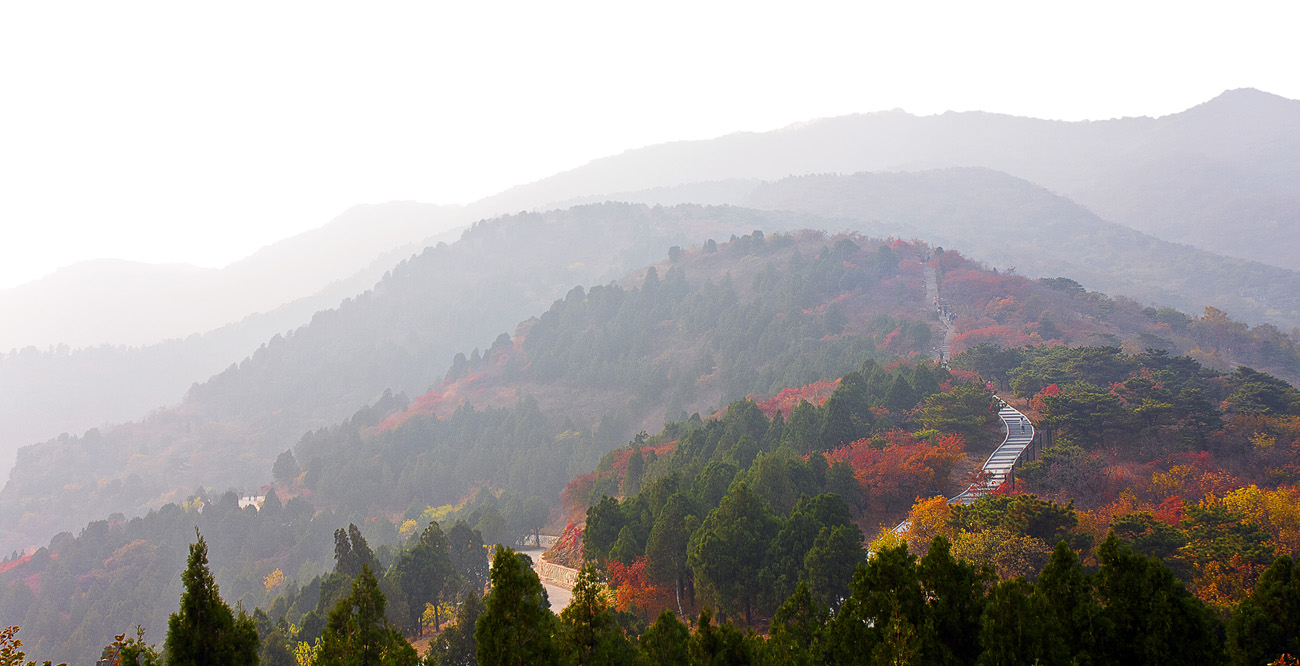 赏秋新去处—北京西山国家森林公园层林尽染