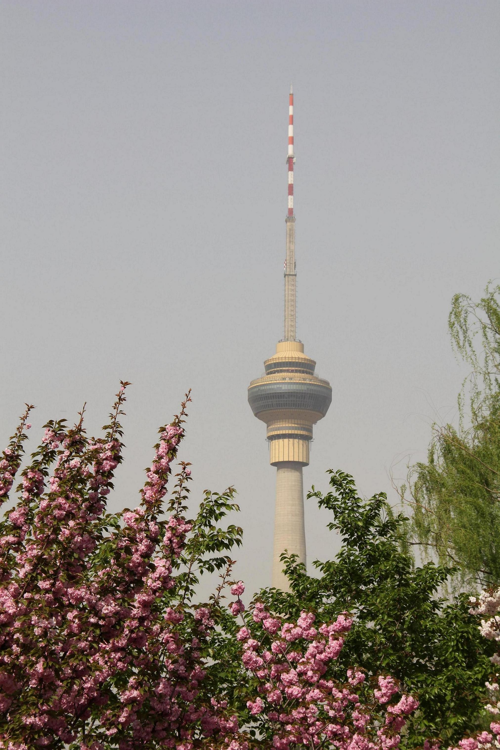【携程攻略】北京北京天宁寺塔景点,天宁寺塔是中国现存的密檐式砖塔中比较典型的一座，也是北京创建年代…